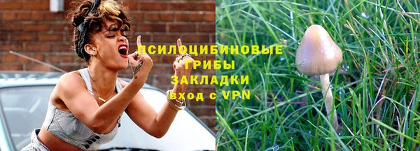 стафф Верхний Тагил
