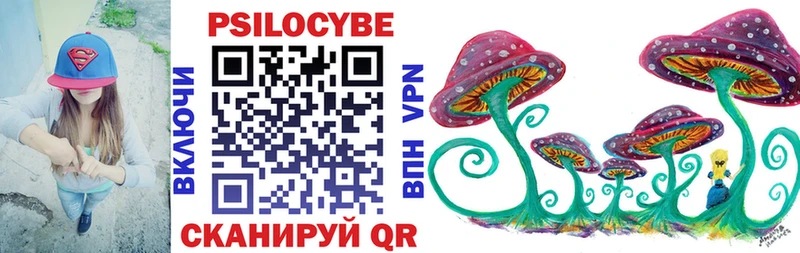 Купить где  Плёс  Галлюциногенные грибы мицелий 